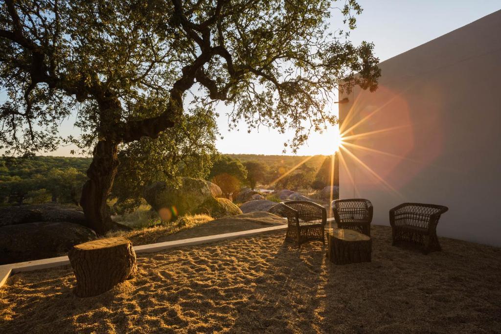 Monte Velho Equo-Resort Arraiolos Ngoại thất bức ảnh